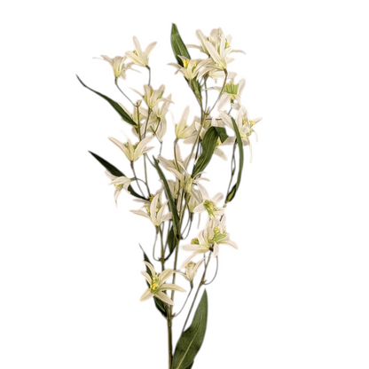 White Jasmine Stem - 29 Inch