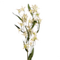 White Jasmine Stem - 29 Inch