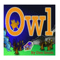 Owl: A Rhyming Picture Book for Children about an Owl in the Autumn Night. - Paperback