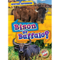 Bison or Buffalo? - Library Binding