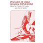 Dynamics of Large Mammal Populations - Hardcover