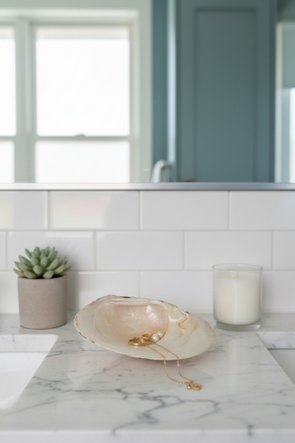 Mexican Pearl River Clam Shell 4-5"
