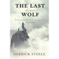 The Last Lone Wolf: Recovering the Lost Sacrament of Friendship - Paperback
