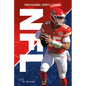 NFL - Library Binding