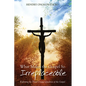 What Makes the Gospel So Irreplaceable: Exploring the Three Unique Qualities of the Gospel - Paperback