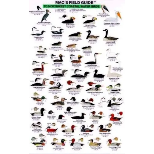 Mac's Field Guides: Northwest Coast Water Birds