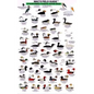 Mac's Field Guides: Northwest Coast Water Birds
