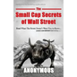 The Small Cap Secrets of Wall Street - Paperback