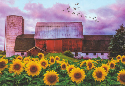 Sunflower Barn Greeting Card  -  Blank Card