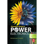 Alternative Energy in Power Electronics - Paperback