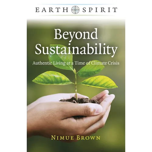 Beyond Sustainability: Authentic Living at a Time of Climate Crisis - Paperback