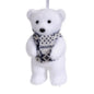 Frosty Polar Bear Ornament -