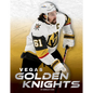 Vegas Golden Knights - Library Binding