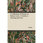 A Collection of Articles on Indoor Cacti - A Guide to Growing and Care - Paperback