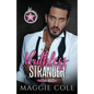 Ruthless Stranger: Ivanov Family - Paperback
