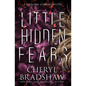 Little Hidden Fears - Paperback