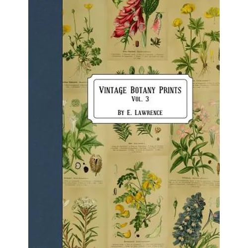 Vintage Botany Prints: Vol. 3 - Paperback