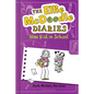 The Ellie McDoodle Diaries 4: New Kid in School - Hardcover