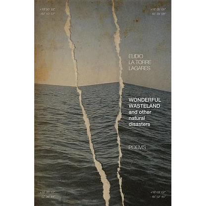 Wonderful Wasteland and Other Natural Disasters: Poems - Paperback