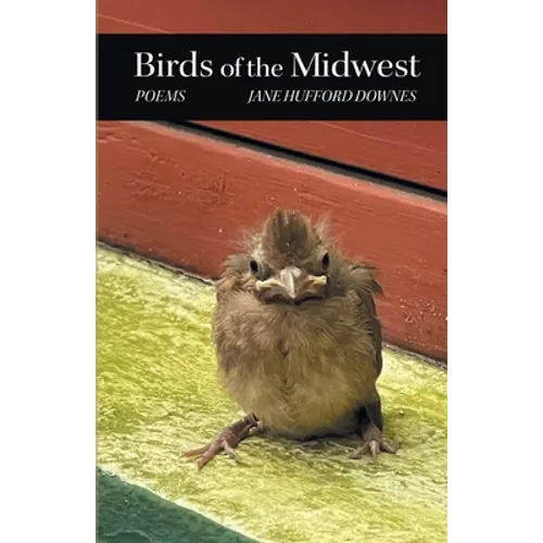 Birds of the Midwest - Paperback