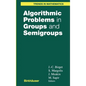 Algorithmic Problems in Groups and Semigroups - Hardcover
