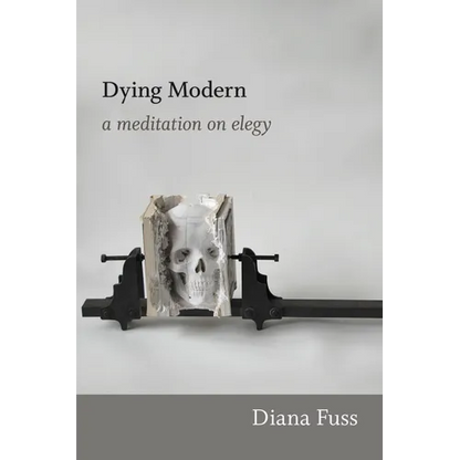 Dying Modern: A Meditation on Elegy - Paperback