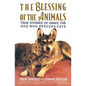 The Blessing of the Animals: True Stories of Ginny, the Dog Who Rescues Cats - Paperback