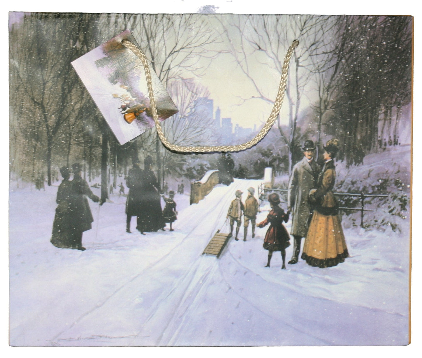 Snow Day In Central Park Gift Bag - Medium