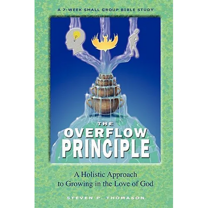 The Overflow Principle - Paperback