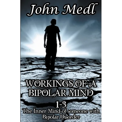 Workings of A Bipolar Mind 1-3 Omnibus: The Inner Mind of Someone With Bipolar Disorder - Paperback
