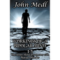Workings of A Bipolar Mind 1-3 Omnibus: The Inner Mind of Someone With Bipolar Disorder - Paperback