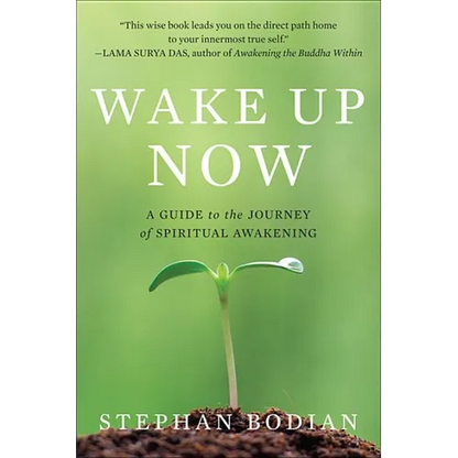 Wake Up Now - Paperback