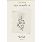 Descendants of Medusa - Paperback