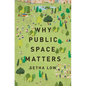 Why Public Space Matters - Hardcover