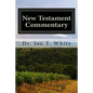 New Testament Commentary: Mark and Luke - Paperback