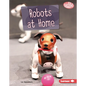 Robots at Home - Library Binding