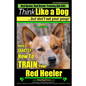 Red Heeler, Red Heeler Training AAA AKC: Think Like a Dog, but Don't Eat Your Poop! Red Heeler Breed Expert Training: Here's EXACTLY How to Train Your - Paperback
