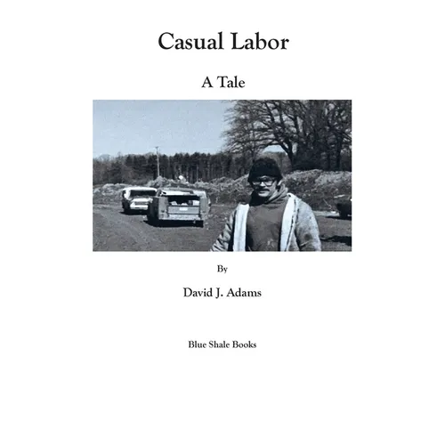 Casual Labor: a Tale - Paperback