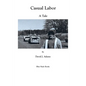 Casual Labor: a Tale - Paperback