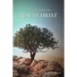 The Family of Jesus Christ - Paperback