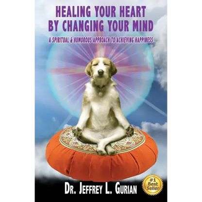 Healing Your Heart, By Changing Your Mind: A Spiritual And Humorous Approach To Achieving Happiness - Paperback