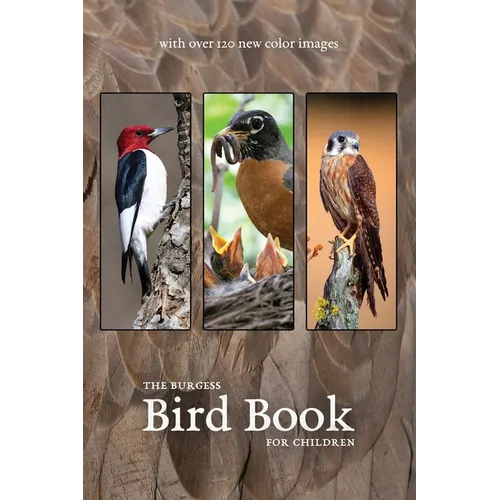 The Burgess Bird Book with new color images - Paperback