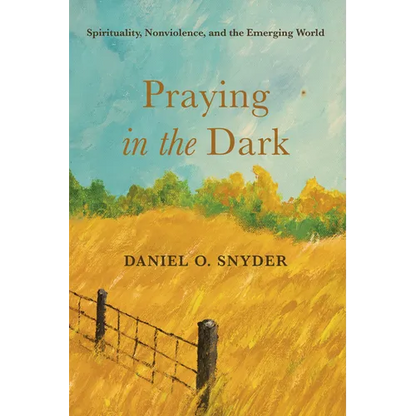 Praying in the Dark: Spirituality, Nonviolence, and the Emerging World - Paperback
