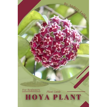 Hoya plant: Plant Guide - Paperback