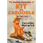 The Amazing Adventures of Kit and Caboodle: Two Cool Cats - Paperback