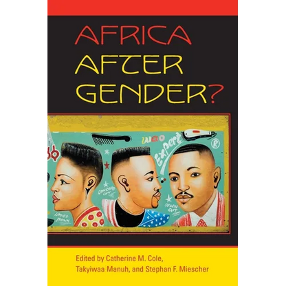 Africa After Gender? - Paperback