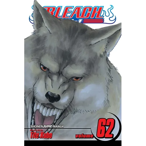 Bleach, Vol. 62 - Paperback
