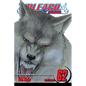 Bleach, Vol. 62 - Paperback