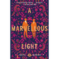 A Marvellous Light - Paperback