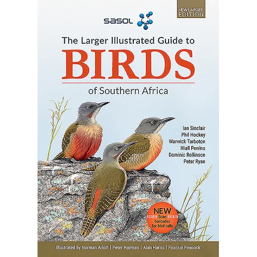 The Sasol Larger Illustrated Guide to Birds of Southern Africa (Revised Edition) - Paperback